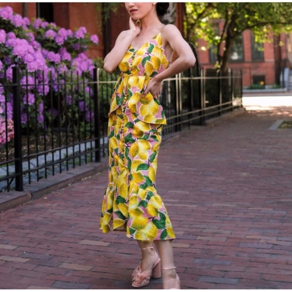 Farm Rio / anthropologie Fresh Lemons Ruffled Midi Dress Small - Picture 6 of 15